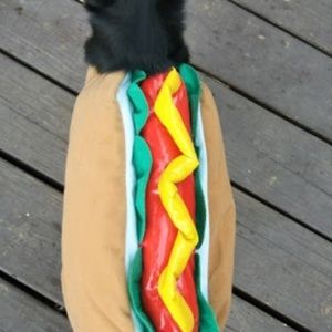 Small dog Halloween costume